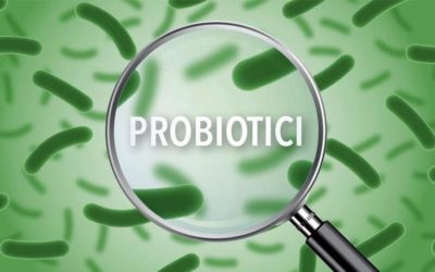 Probiotics, their use in the food industry
