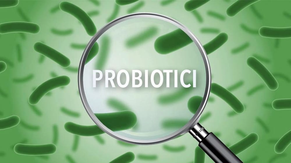 Probiotici, il loro impiego nell’industria alimentare