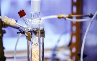 (Italiano) Biocatalisi industriale: i processi che rispettano l’ambiente